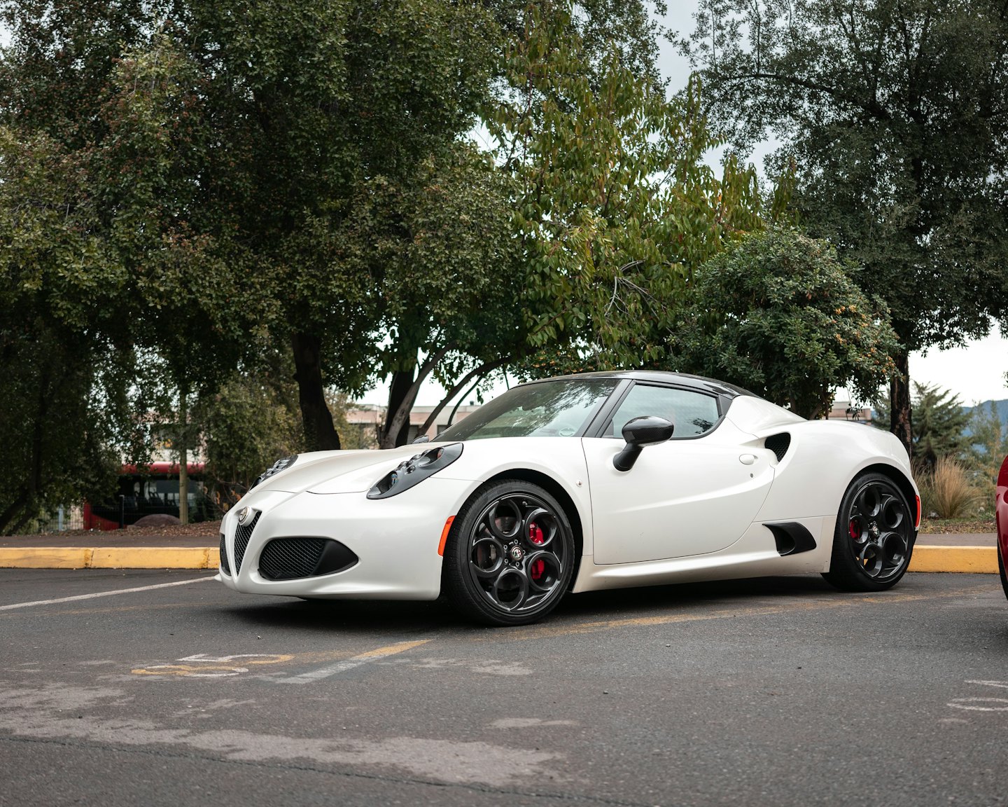 A white sports car parked on asphalt with green trees.